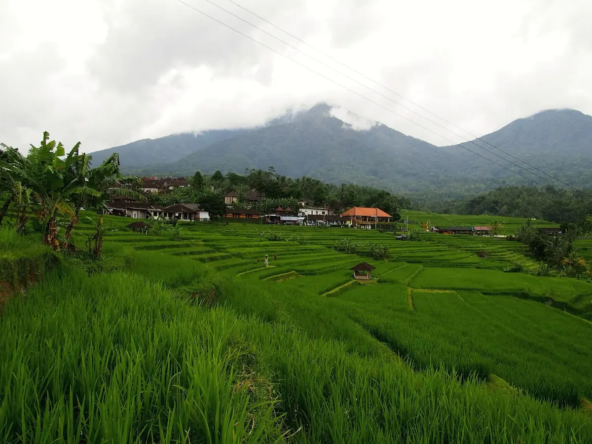 Mobil, sopir, dan BBM